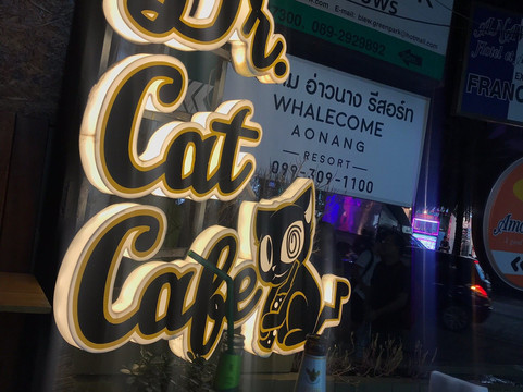 Dr. Cat Cafe-奥南必去景点