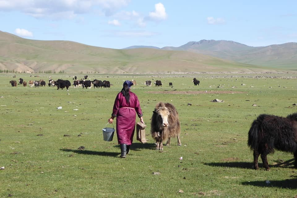 Horseback Mongolia-乌兰巴托必去景点