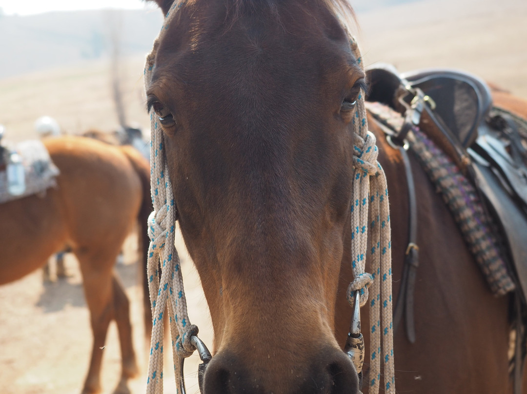 Leconfield-Mulla Creek必去景点