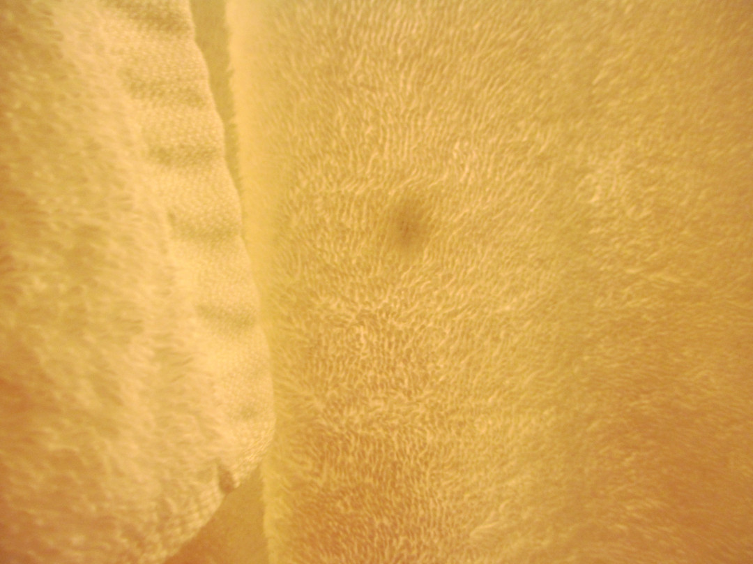 埃尔赛冈多希尔顿花园酒店主图