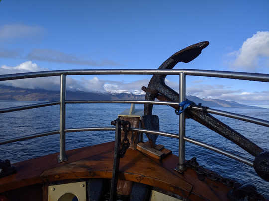 Salka Whale Watching-胡萨维克必去景点