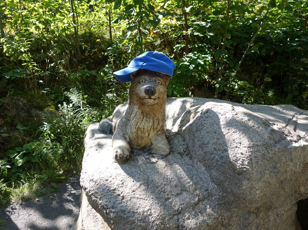 Centre de ski Mont Sainte-Anne-Saint-Ferreol-Les-Neiges必去景点