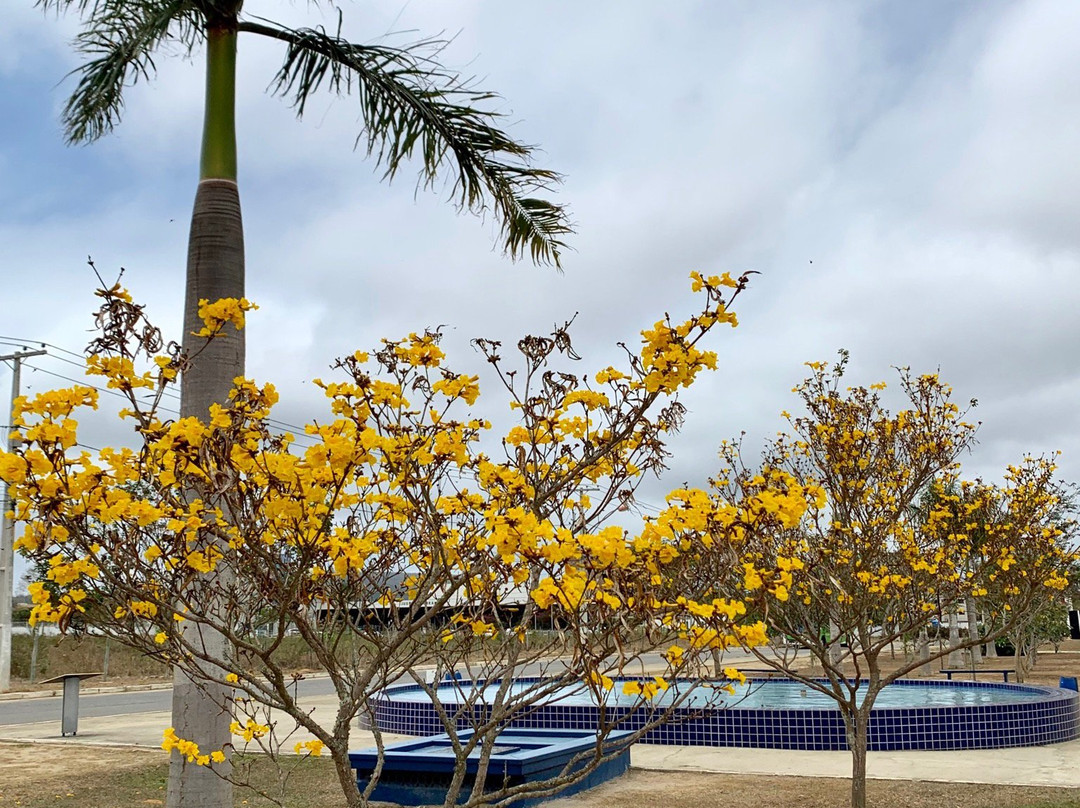 Monumento ao Príncipe Maximiliano景点图片