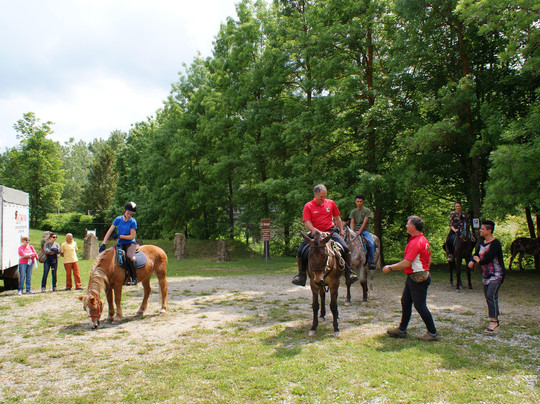 InLanga Tours-阿尔巴必去景点