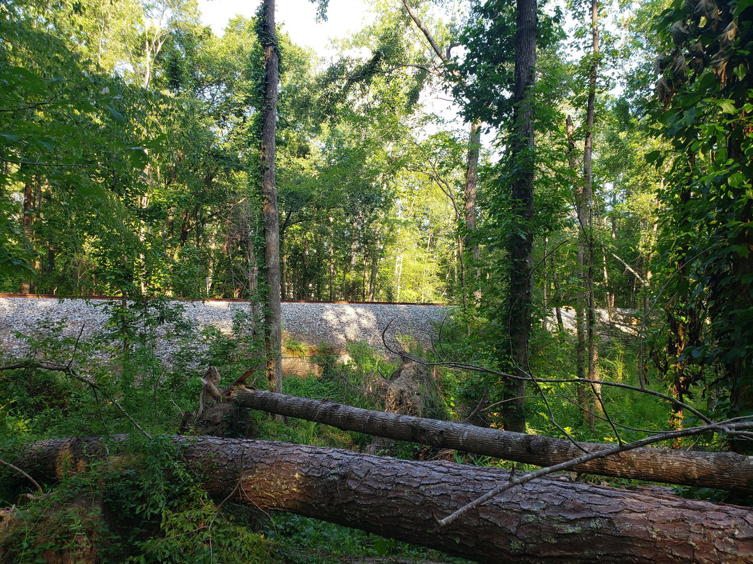 New Bern Historical Society Civil War Battlefield Park景点图片