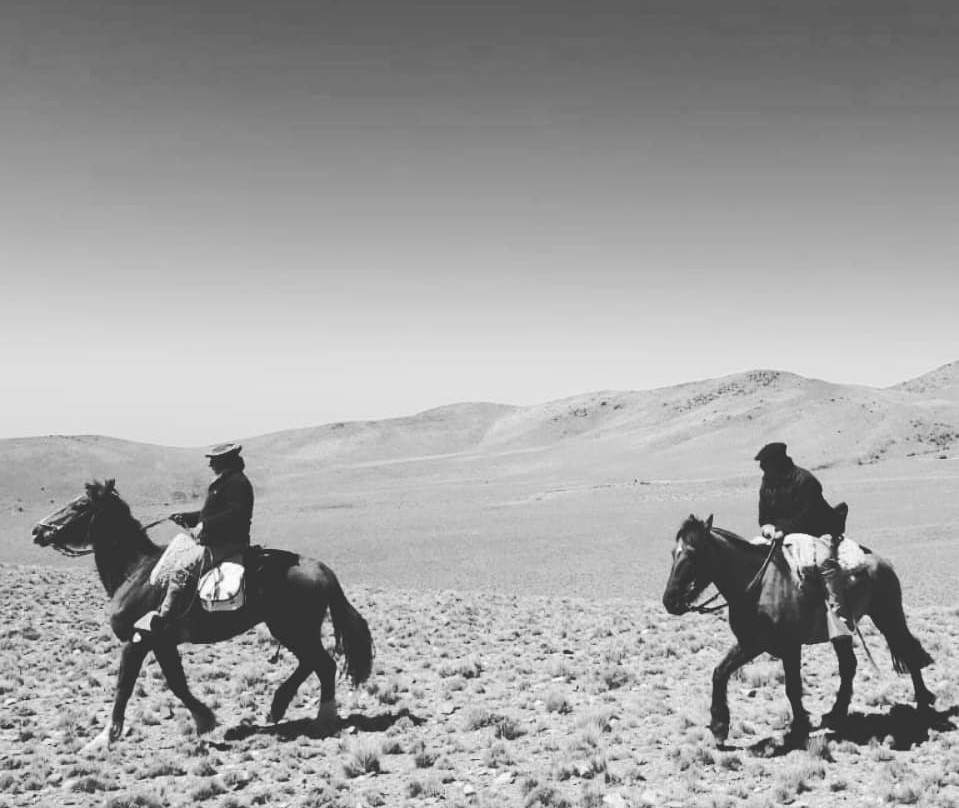 Reserva Natural Villavicencio-Las Heras必去景点