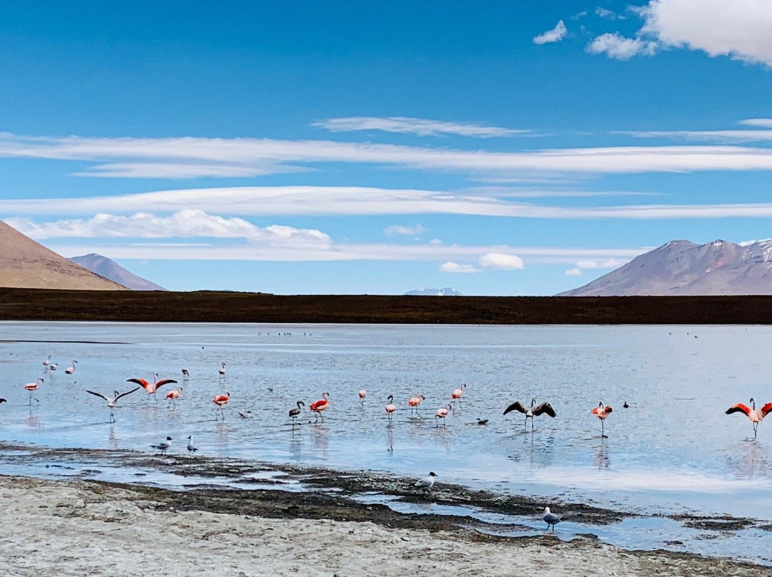 红色星球旅行社一日游-乌尤尼必去景点