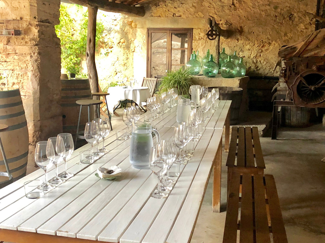 Mallorca Wine Tours景点图片