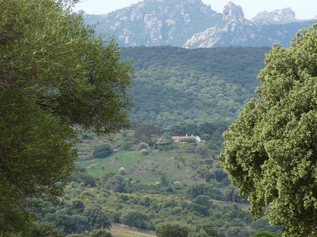 Chiesa di San Trano-Luogosanto必去景点