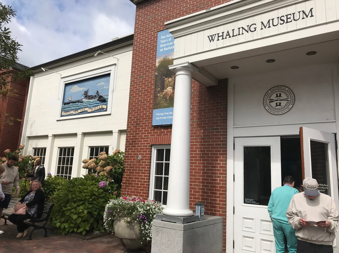 Whaling Museum景点图片