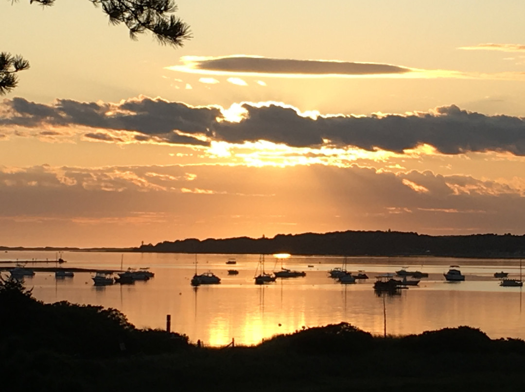 Oyster Cove B&B On Wellfleet Harbor主图