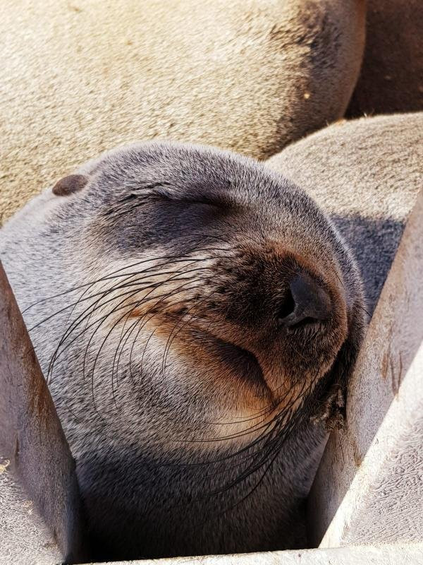 Don Tours & Safaris-温德和克必去景点