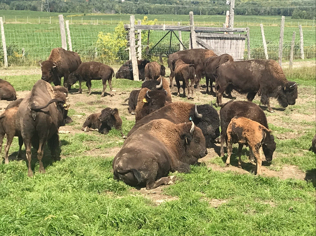 La Bisonnière景点图片