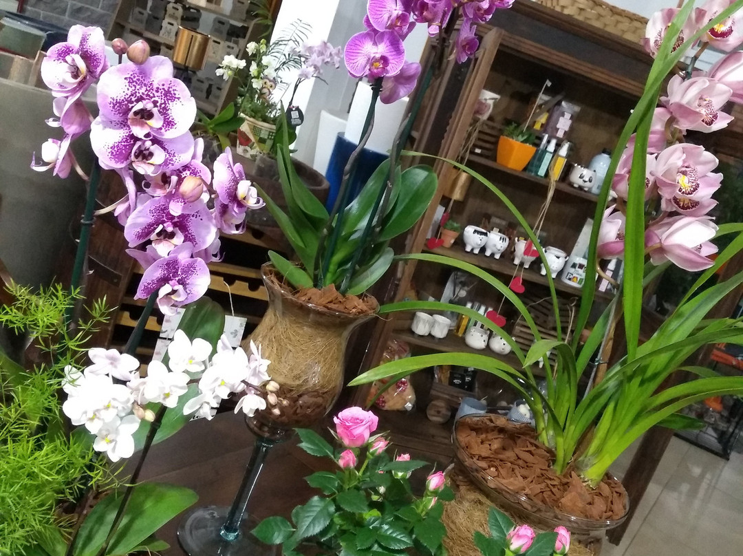 Paraiso das Flores-Encantado必去景点