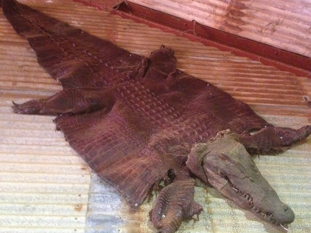 Malcolm Douglas Broome Crocodile Park-布鲁姆必去景点