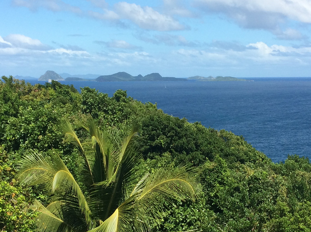 Treetops Villa Guest House主图