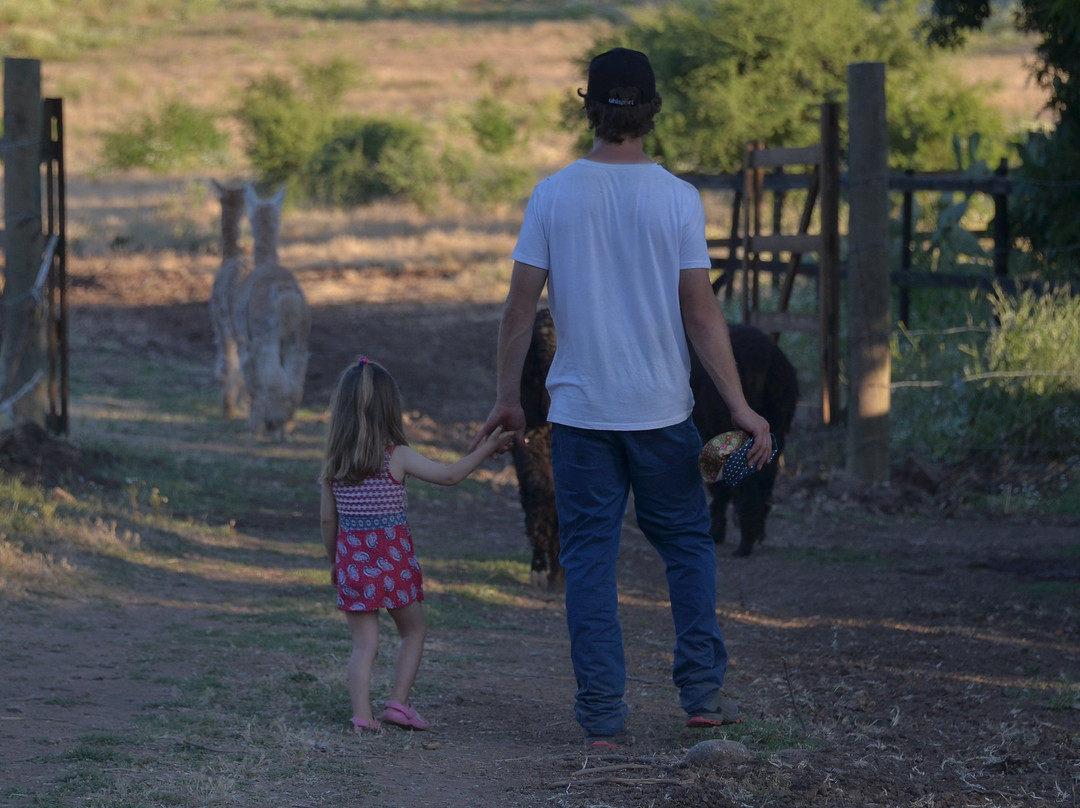 Valle del Arriero-Chimbarongo必去景点