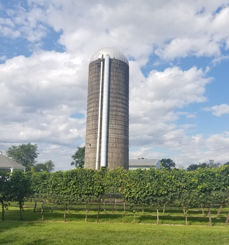 Doukenie Winery景点图片