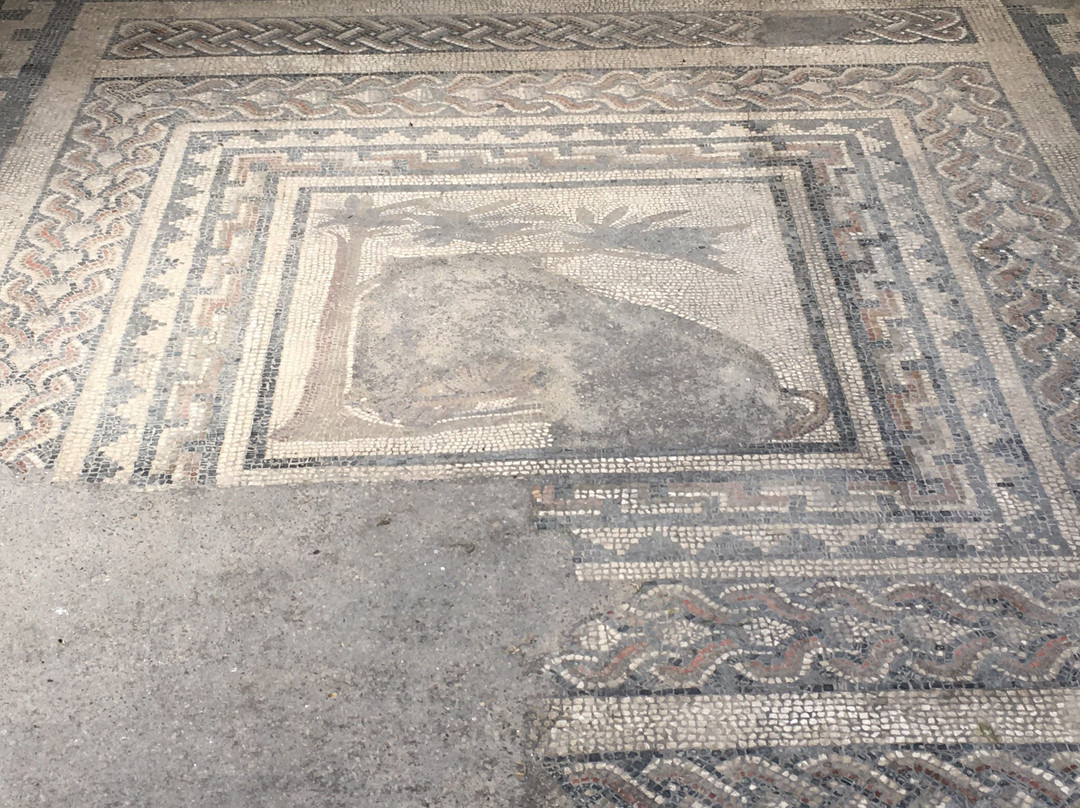 Aldborough Roman Site景点图片
