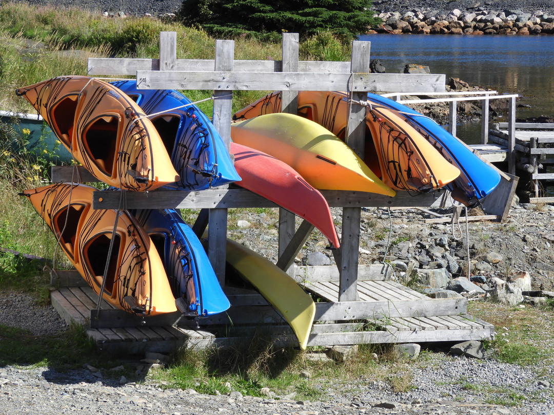 Bay Bulls (Bull Head)-Bay Bulls必去景点