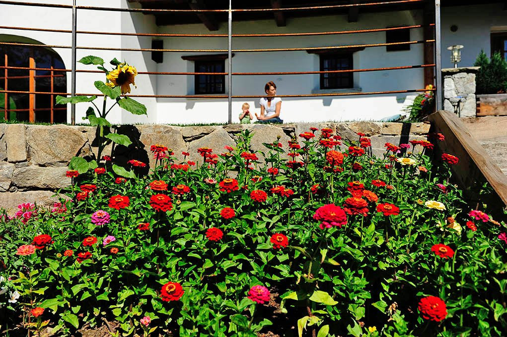 Hotel Naturoase Schwemmerhof主图