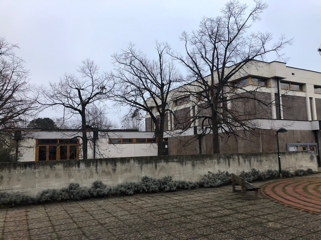 Pfarrkirche Maria Enzersdorf Zum Heiligen Geist景点图片