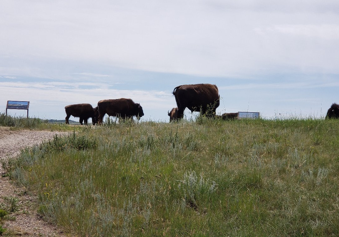 Caprock-Coulee Trail景点图片