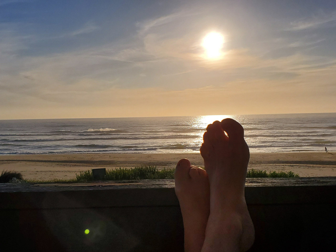 Silver Surf Motel主图