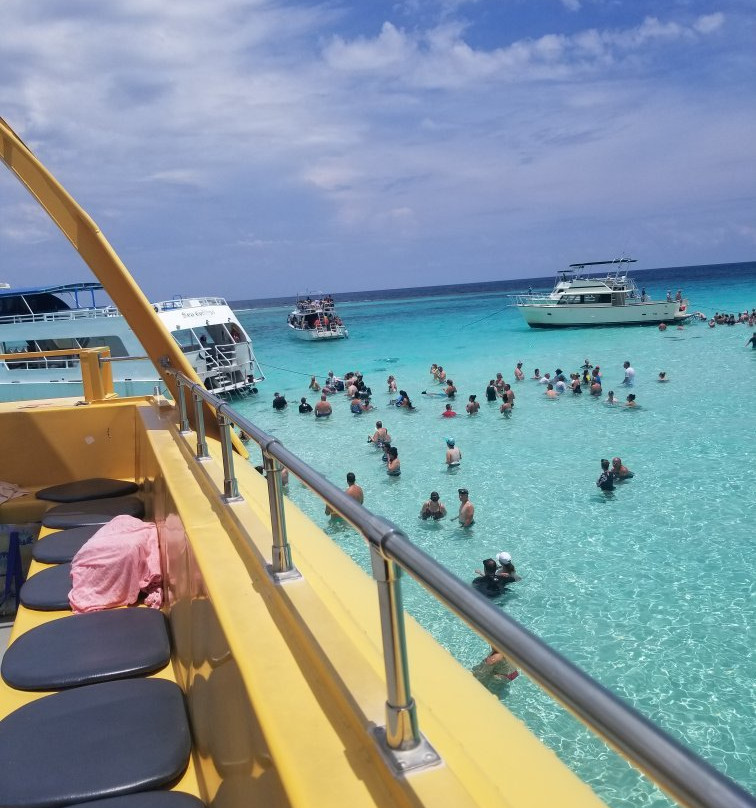 MarineLand Tours-乔治城必去景点