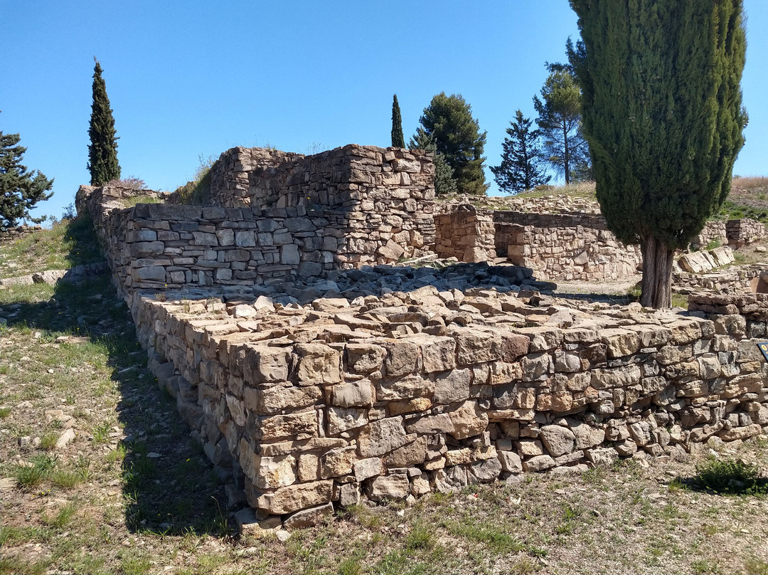 Poblat Ibèric Del Cogulló