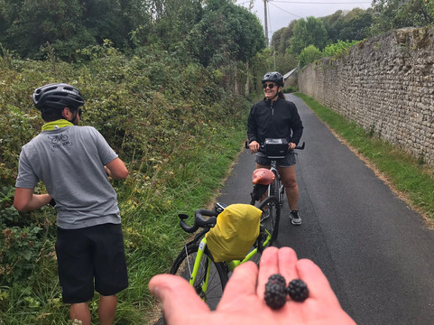 Petite Reine-巴约必去景点