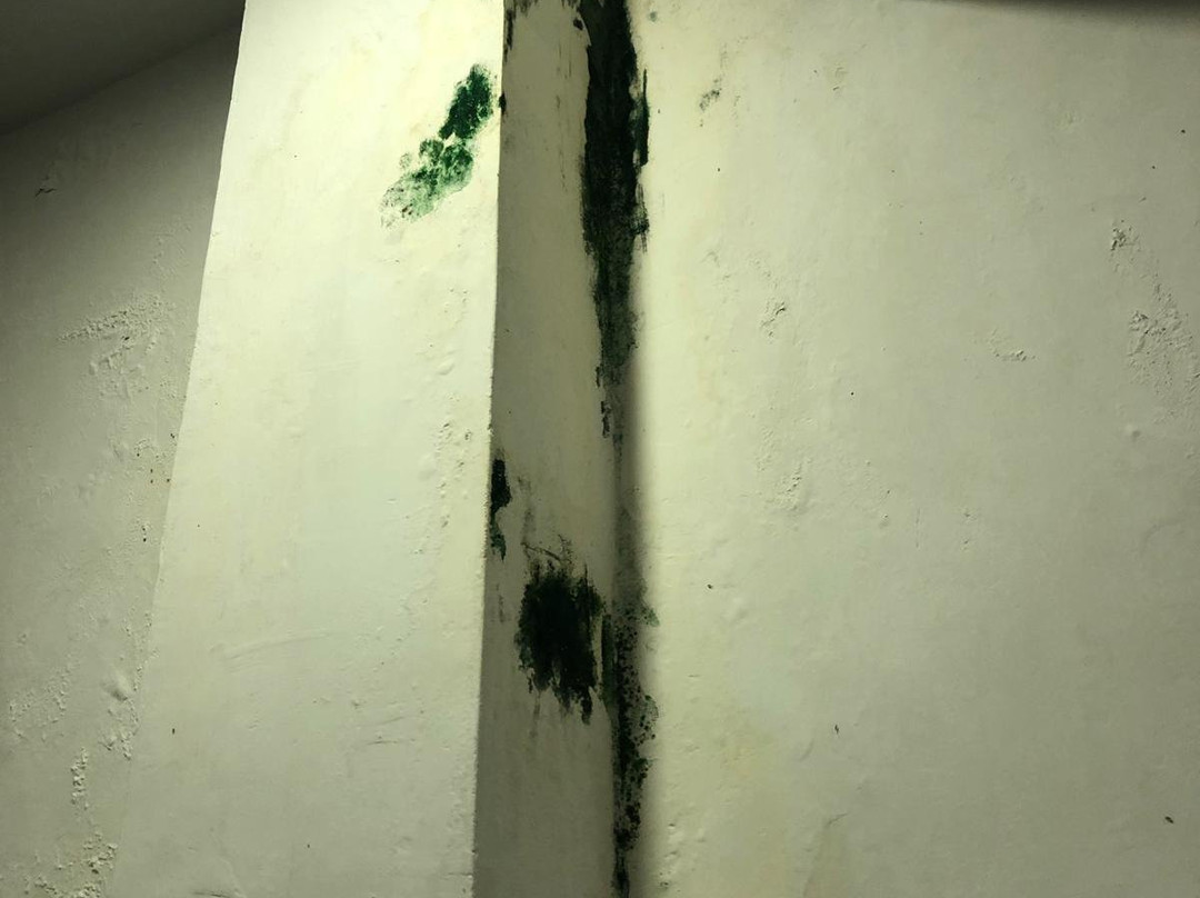 Bay Beach Hotel主图