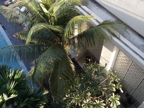 巴厘岛百丽宫度假村酒店主图