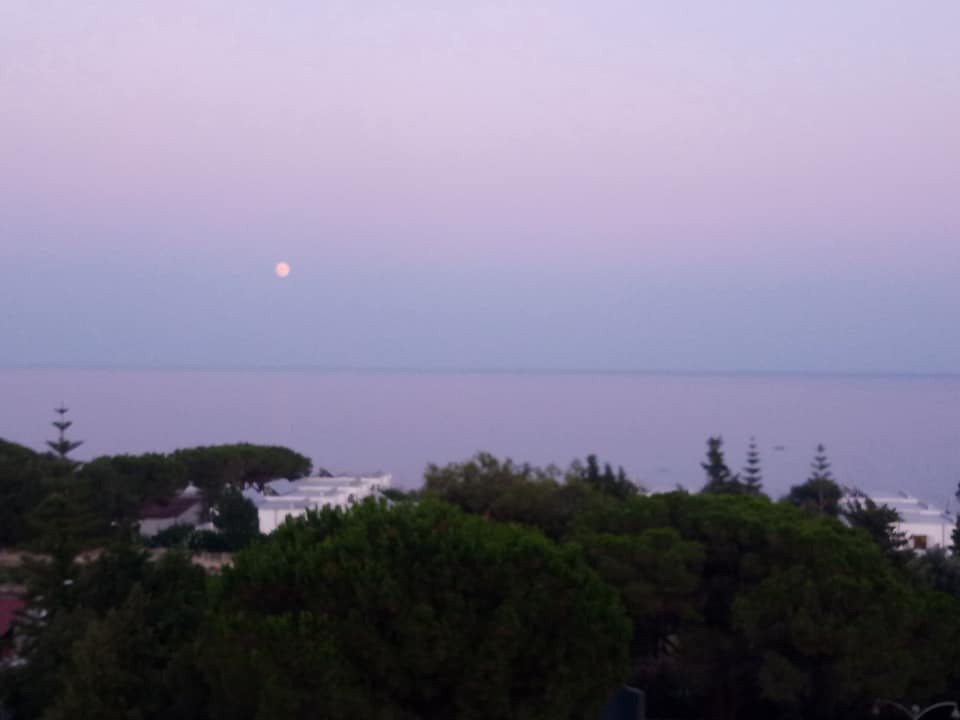 Hotel Villaggio Club Altalia主图