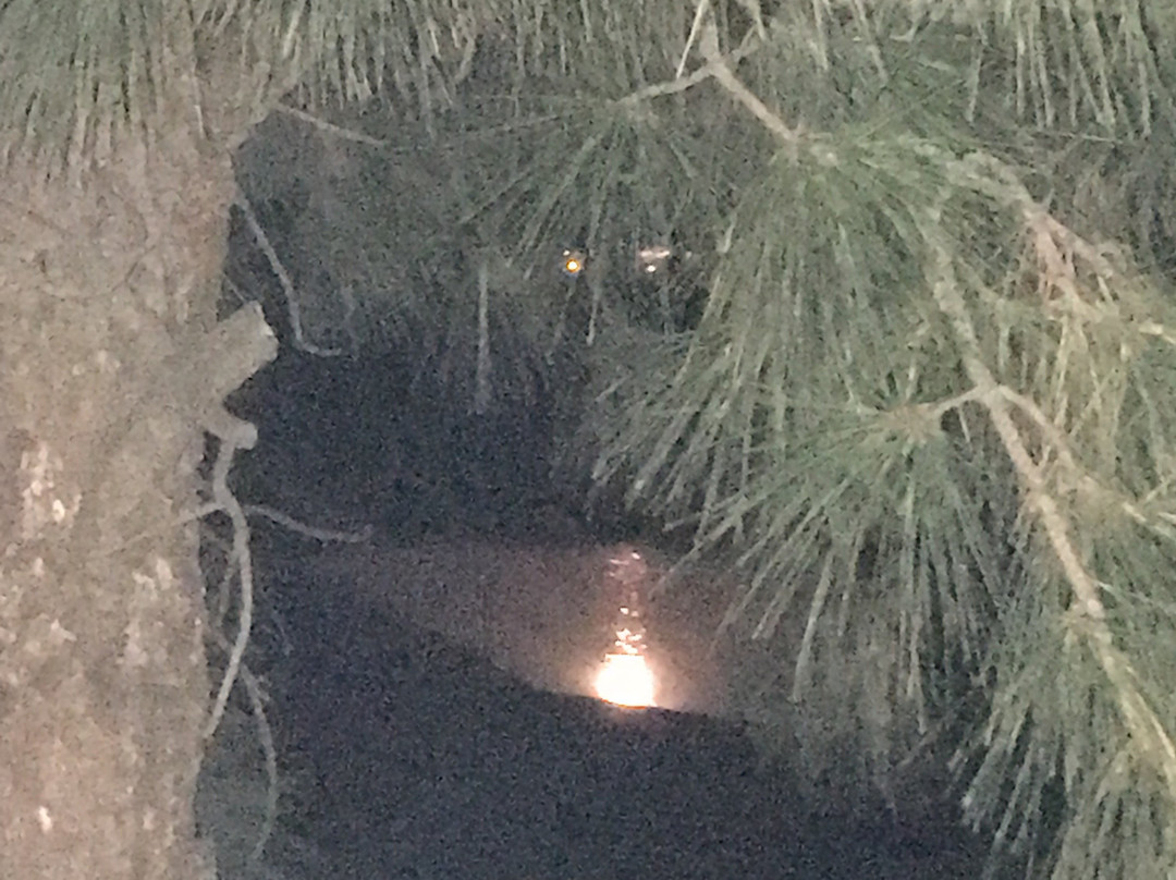 Indian Peaks Golf Course-Lafayette必去景点