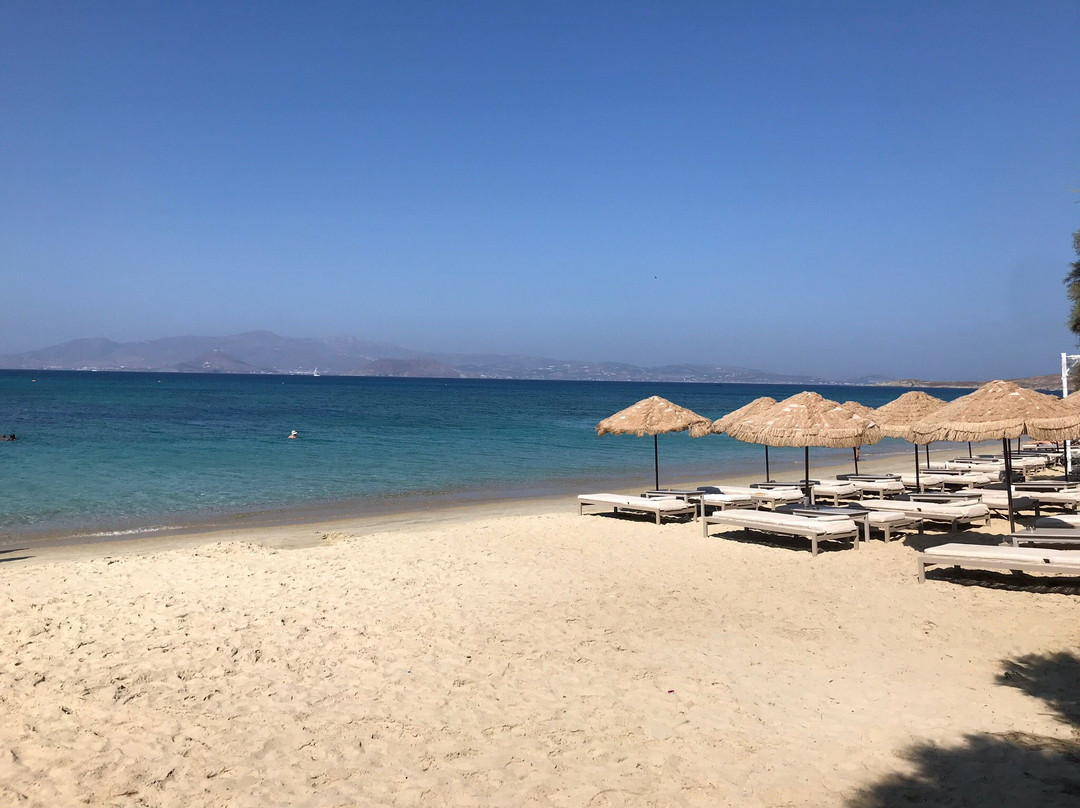 Castello Studios主图