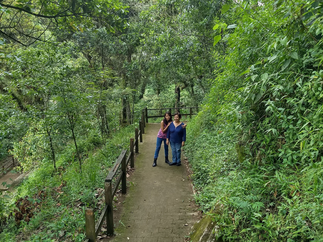 Finca Vacacional Santa Rosa主图