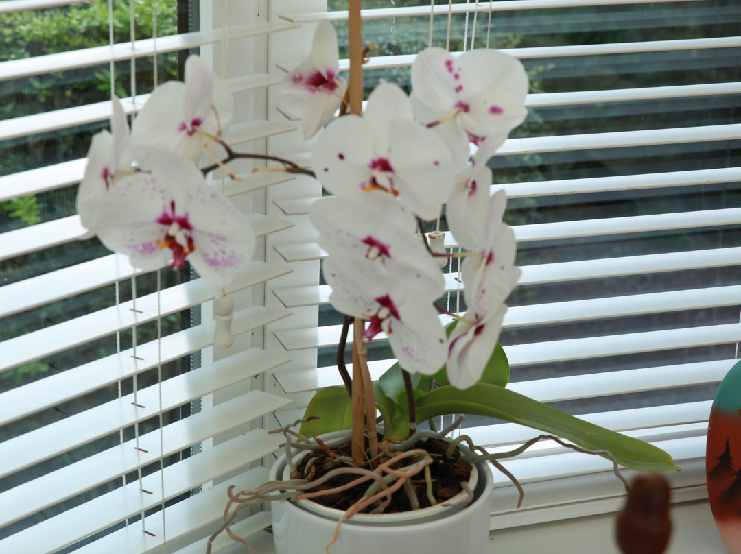 溪流庄园酒店主图