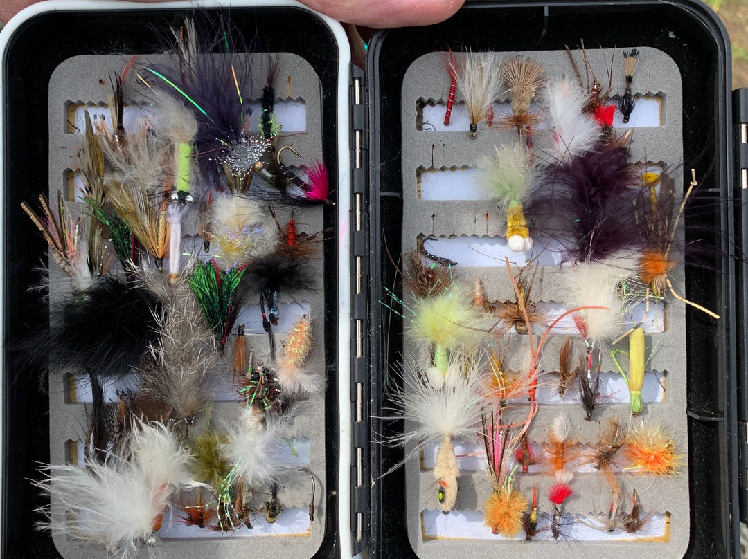 Annamoe Trout Fishery-Annamoe必去景点
