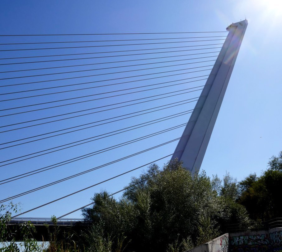 Puente del Alamillo景点图片