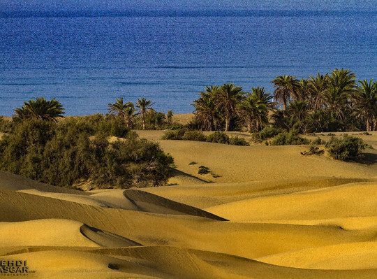 Ramin Beach-Chabahar必去景点