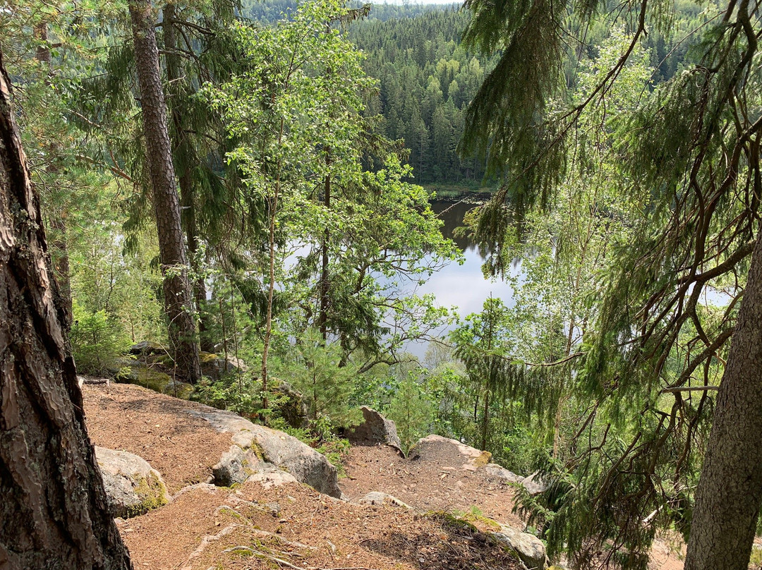 Kypegårdens walking trail景点图片