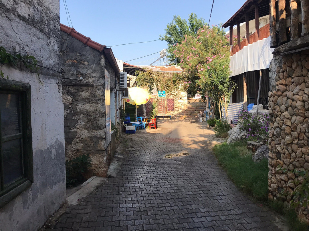 Boynuz agacı pansiyon主图