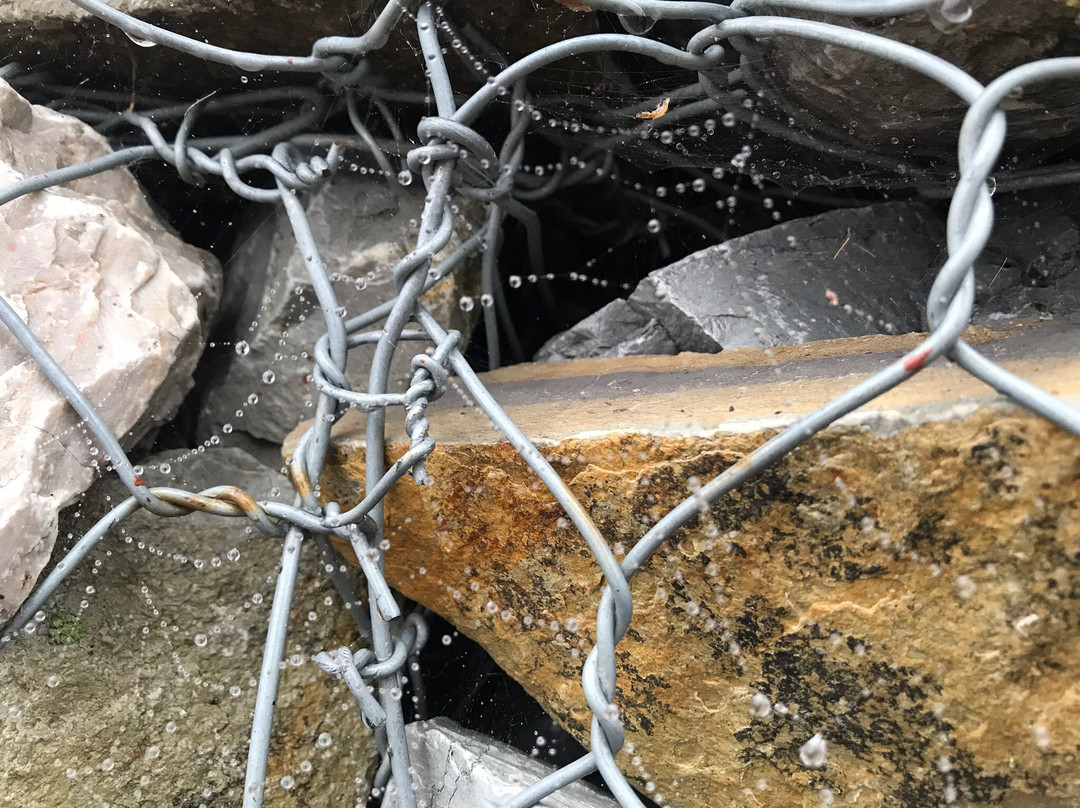 Pavlovskiy Park主图