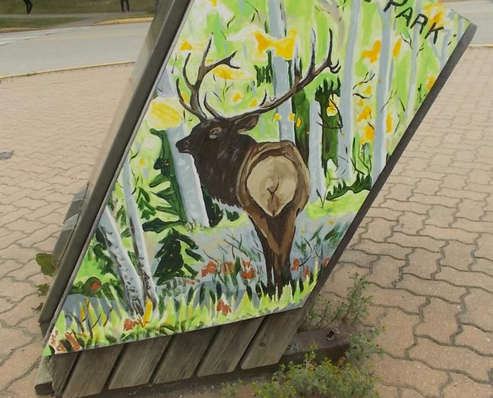 Waskesiu and Area Wilderness Region景点图片
