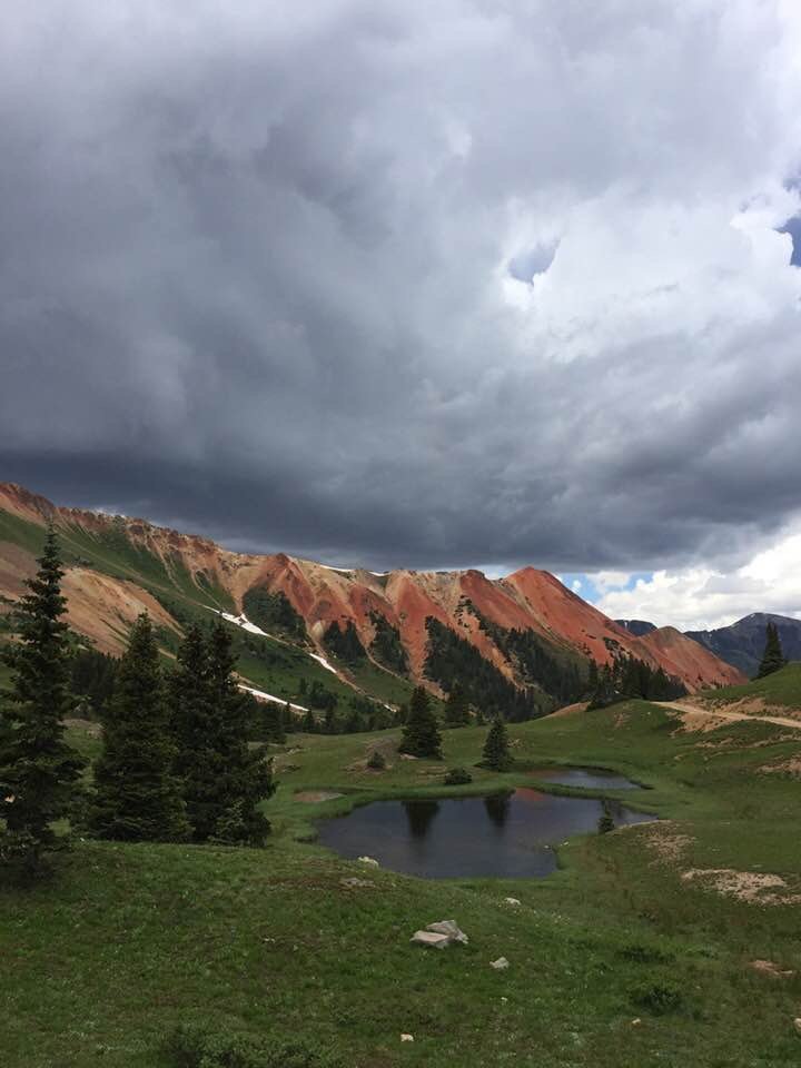 Triangle Motel-官方