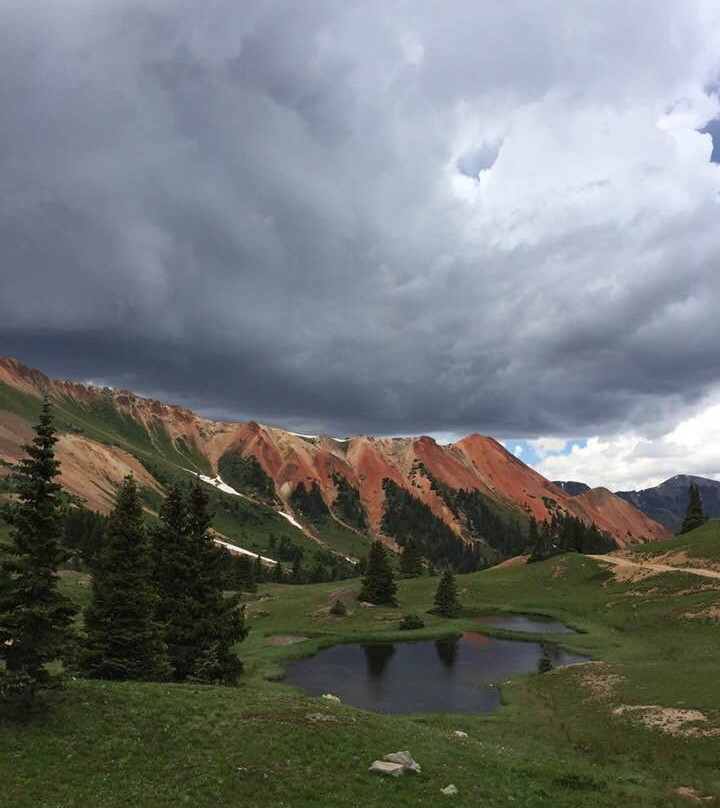 Triangle Motel主图