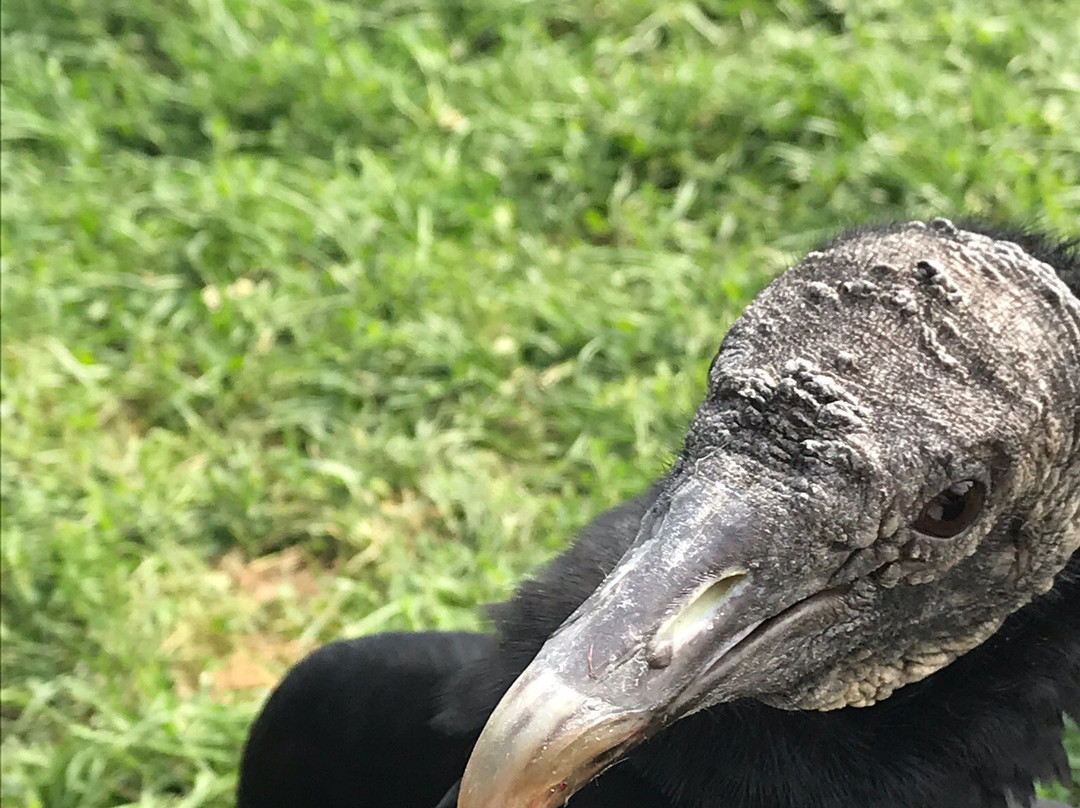 Chouette a voir!-Saint-Jude必去景点