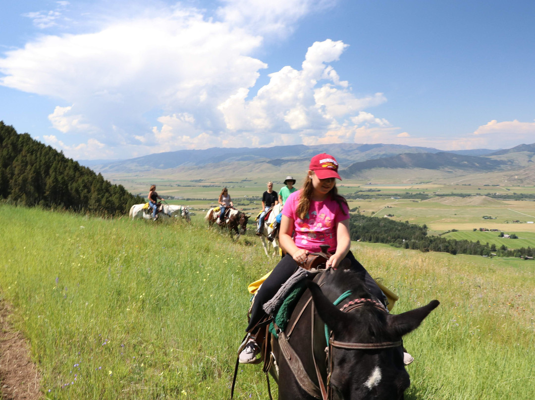 Bear Paw Outfitters-利文斯顿必去景点