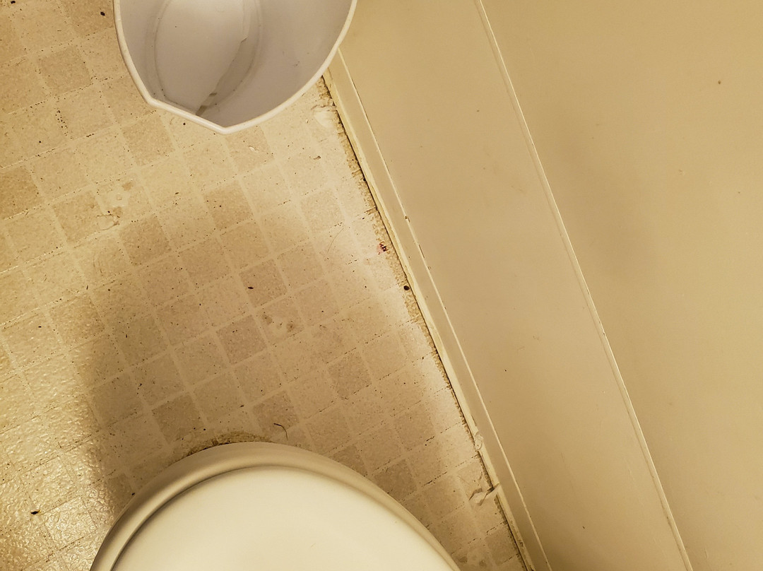 Golden Lion Motel主图